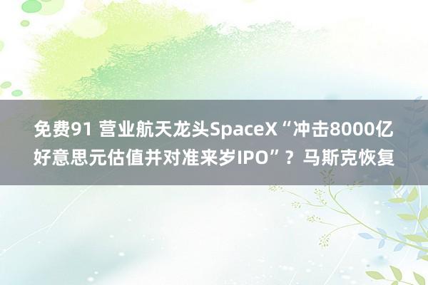 免费91 营业航天龙头SpaceX“冲击8000亿好意思元估值并对准来岁IPO”？马斯克恢复